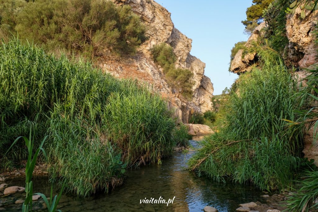 Fluss auf dem Weg zu den heißen Quellen